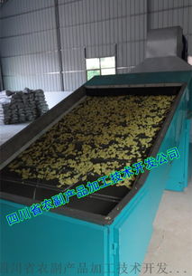 脫水生姜片生產(chǎn)線與烘乾機的技術開發(fā)